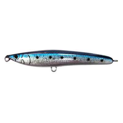 SPOTTED SARDINE