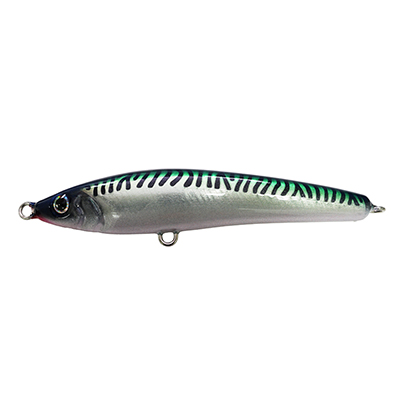 GREEN MACKEREL