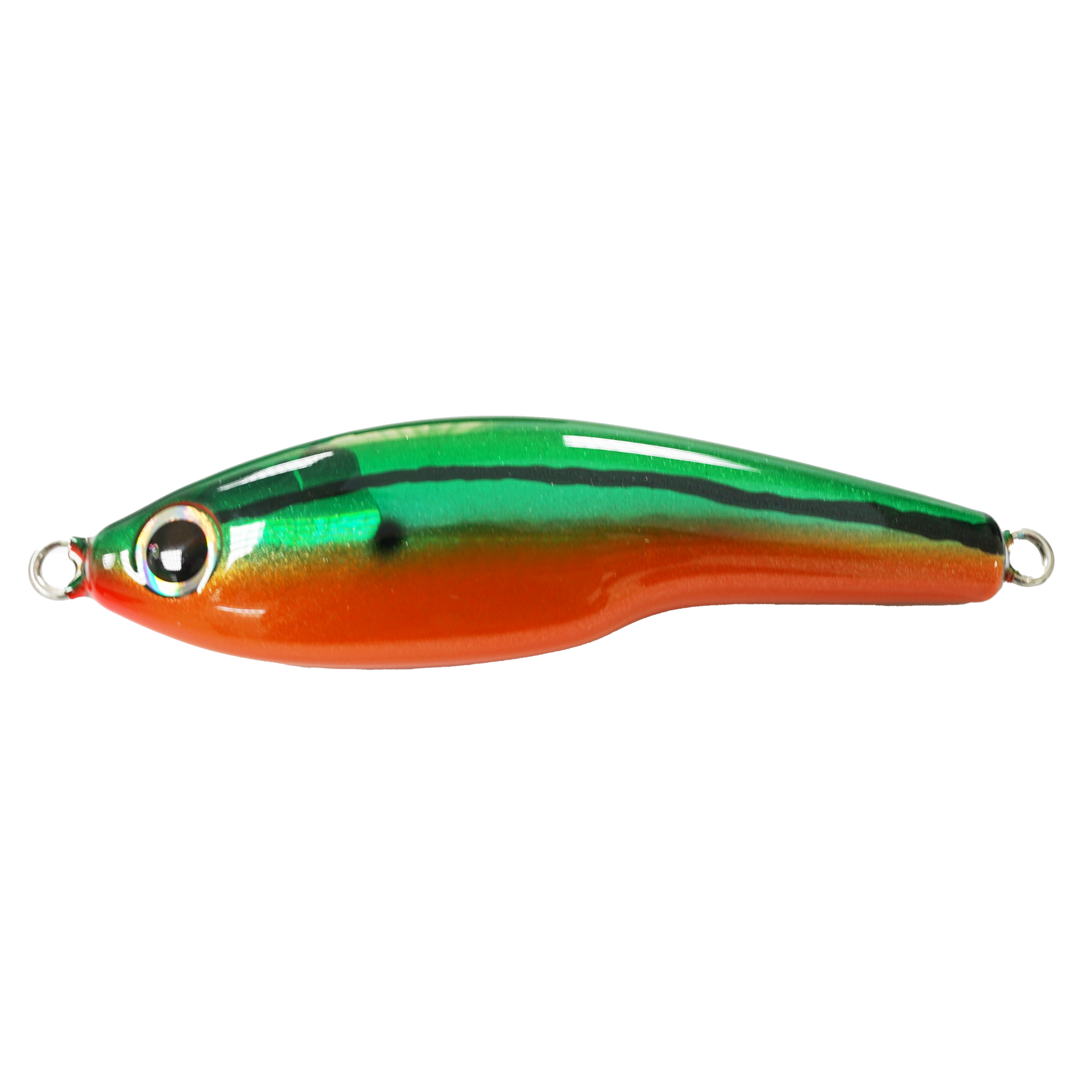 DARK BANDED FUSILIER