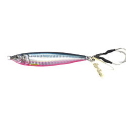  BLUE PINK SARDINE