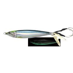 CHART HEAD SARDINE GLOW BELLY