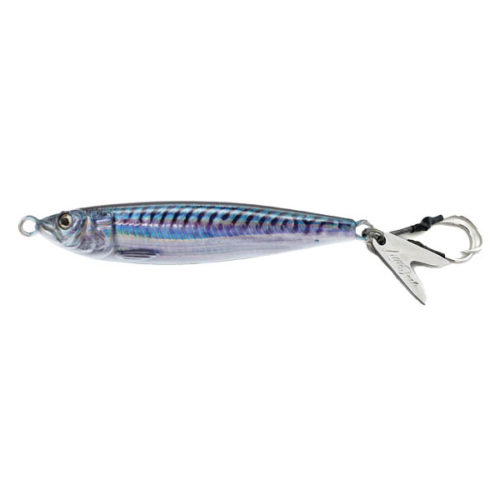 FRENCH MACKEREL