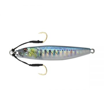 VERTICAL SARDINE + RP