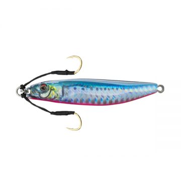 BLUE PINK SARDINE + RP
