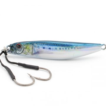 LASER SARDINE + REAL PRINT