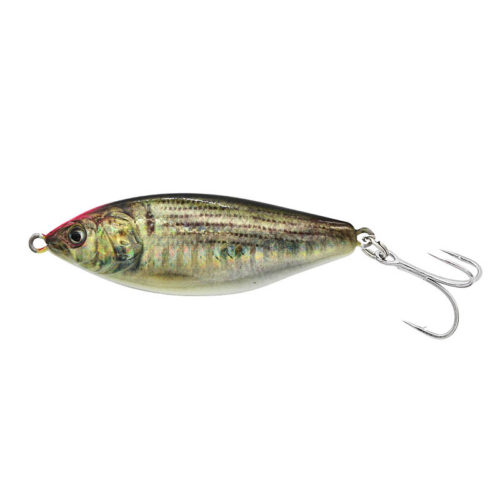 CHART HEAD GLOW ZEBRA KONOSHIRO SHAD