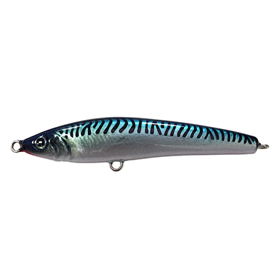 BLUE MACKEREL