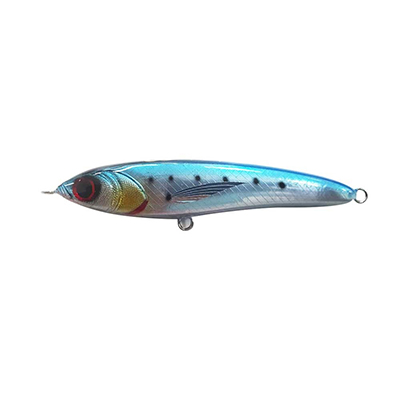 BLUE SARDINE