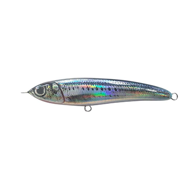 REAL SARDINE