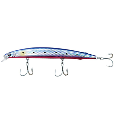 BLUE RED SARDINE