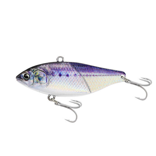 UV (KEIMURA) SALDINE(MAIWASHI)