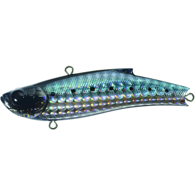 BLUE SARDINE