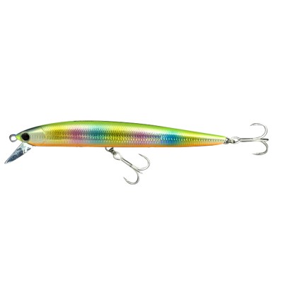 ORANGE BELLY RAINBOW