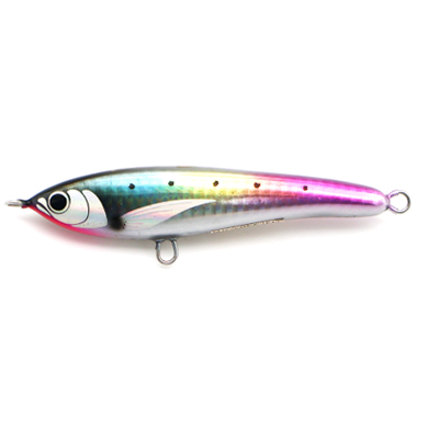 RAINBOW SARDINE