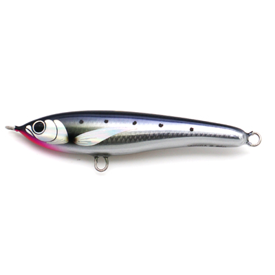 BLACK SARDINE