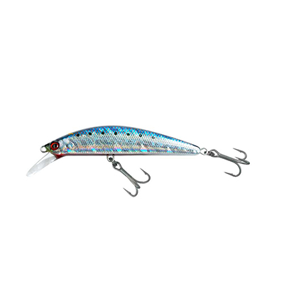 BLUE SARDINE