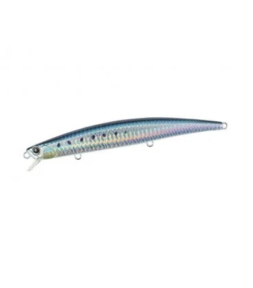 SARDINE RB