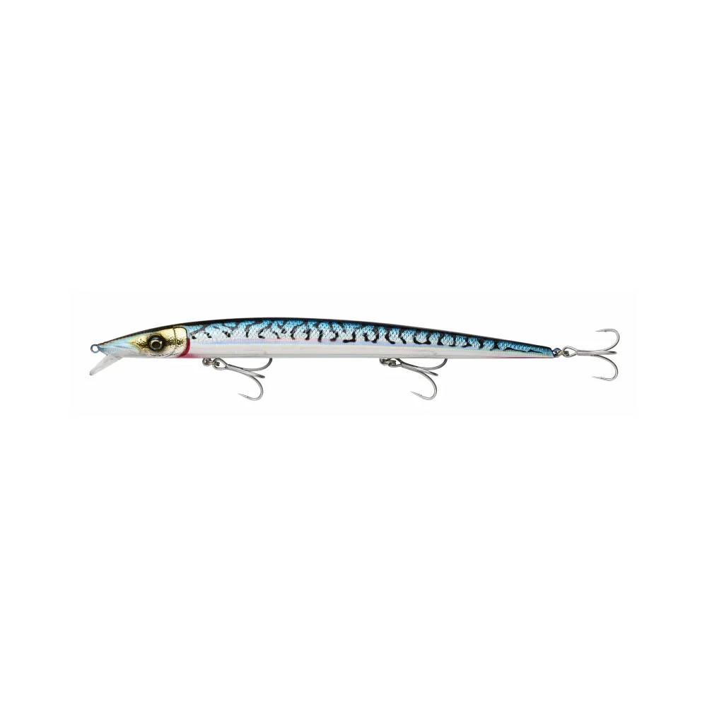BLUE MACKEREL
