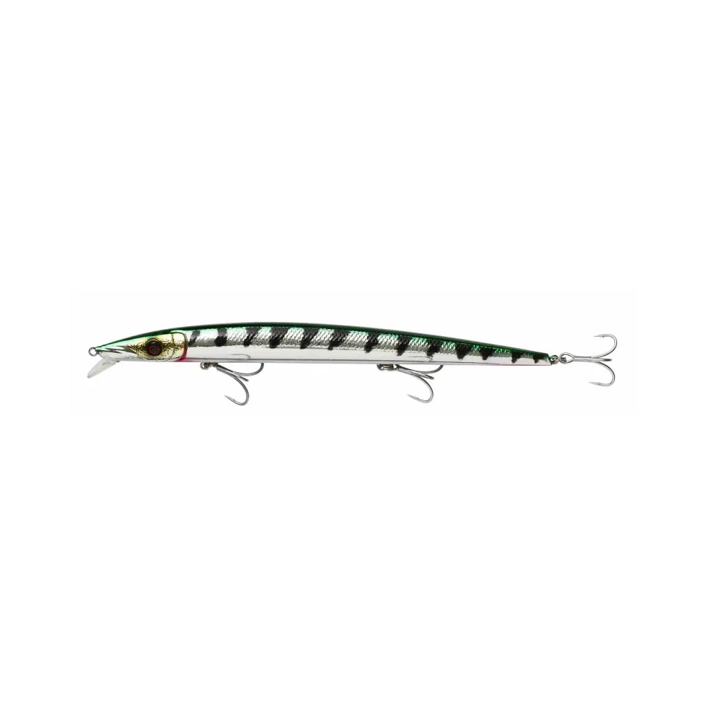 GREEN BARRACUDA