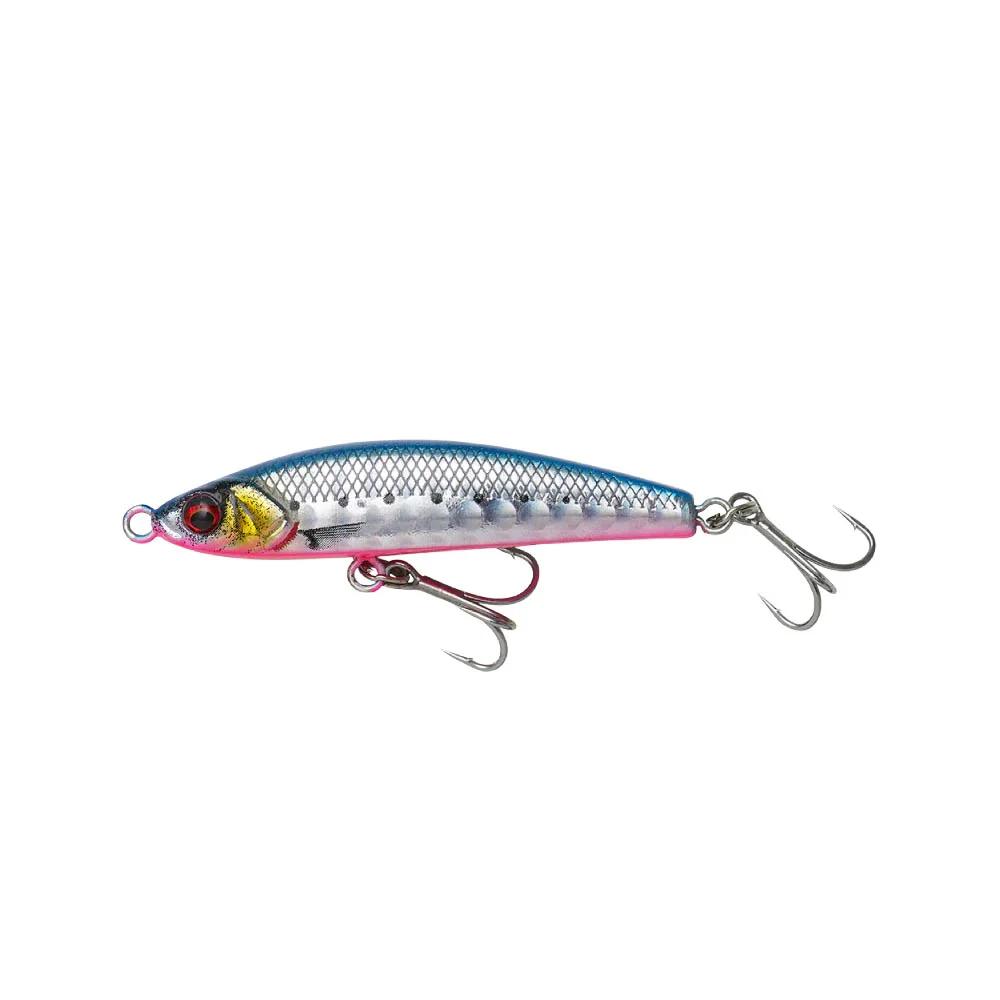 PINK BELLY SARDINE