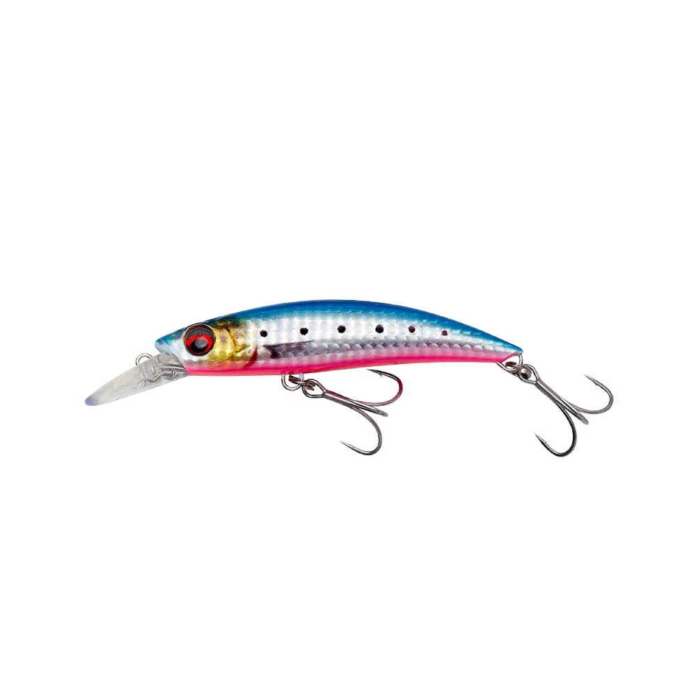 PINK BELLY SARDINE
