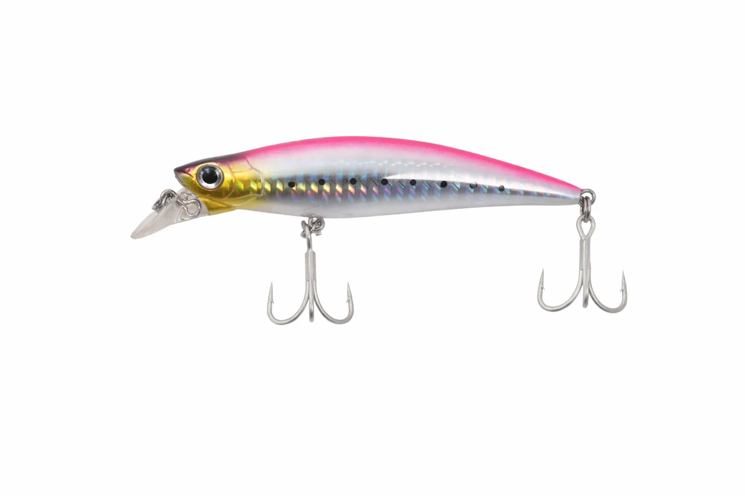 PINK SARDINE
