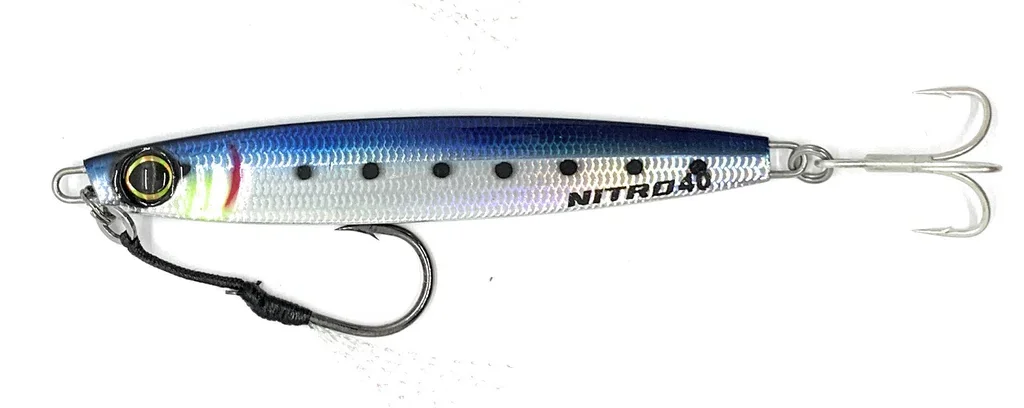 146 REBIW  REAL SARDINE