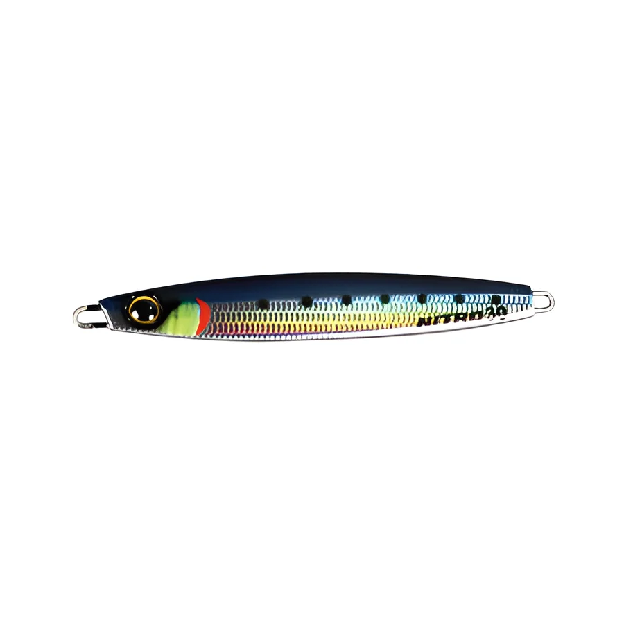 146 REBIW  REAL SARDINE
