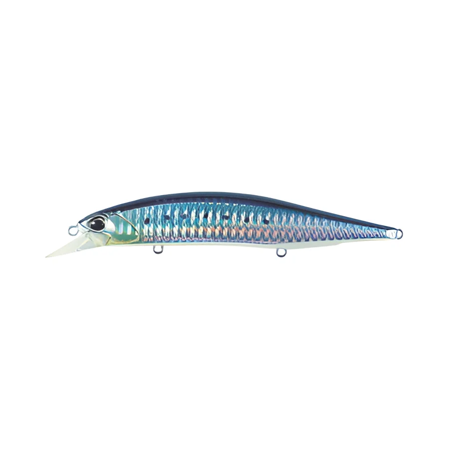 SARDINE