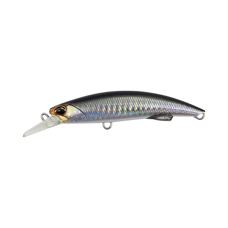 CLEAR ANCHOVY