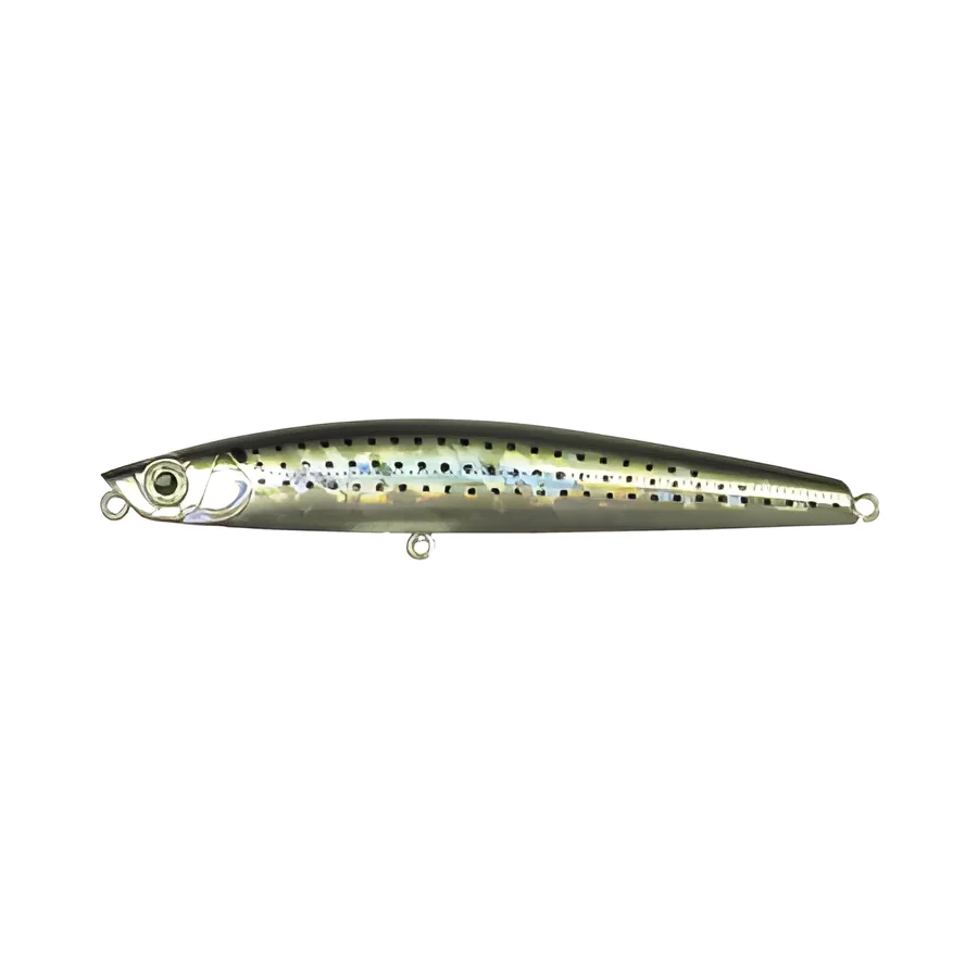 SPOTTED SARDINE