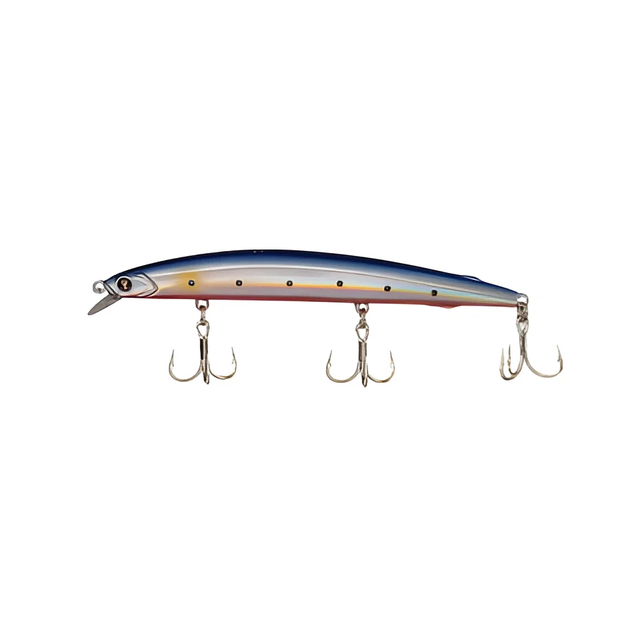 BLUE RED SARDINE