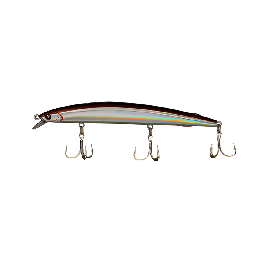 BROWN SARDINE
