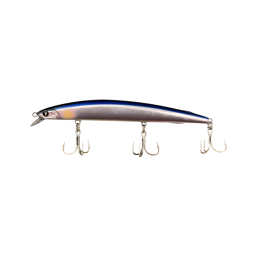 REAL SARDINE