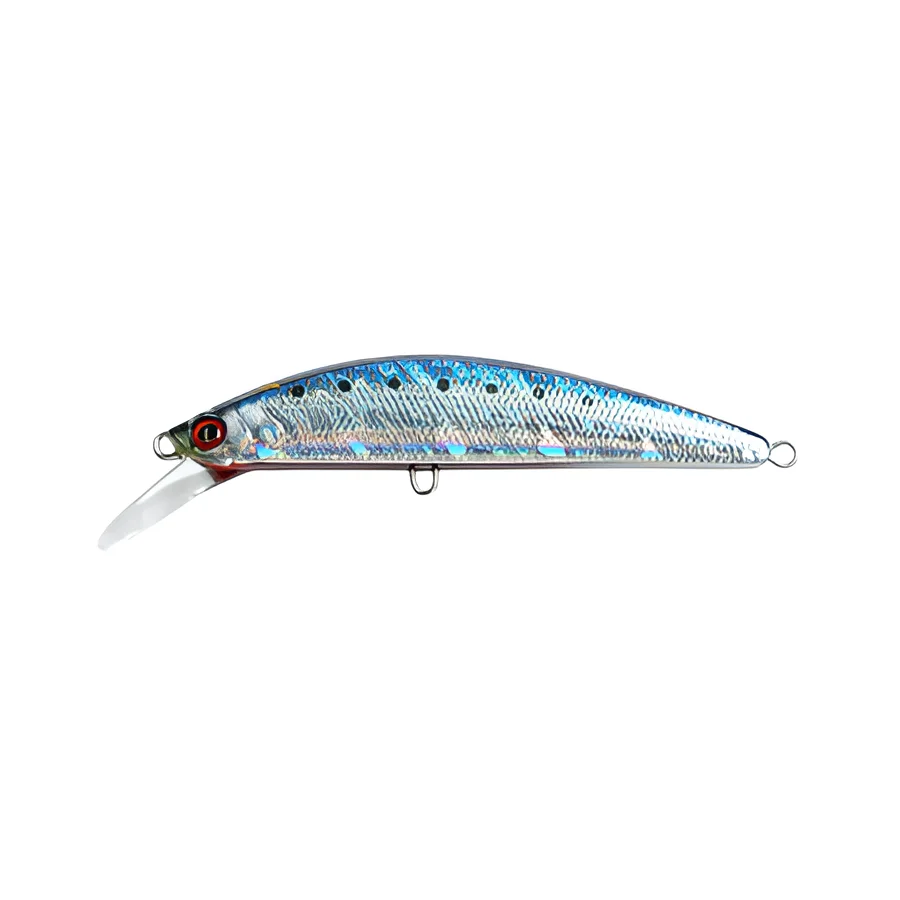 BLUE SARDINE
