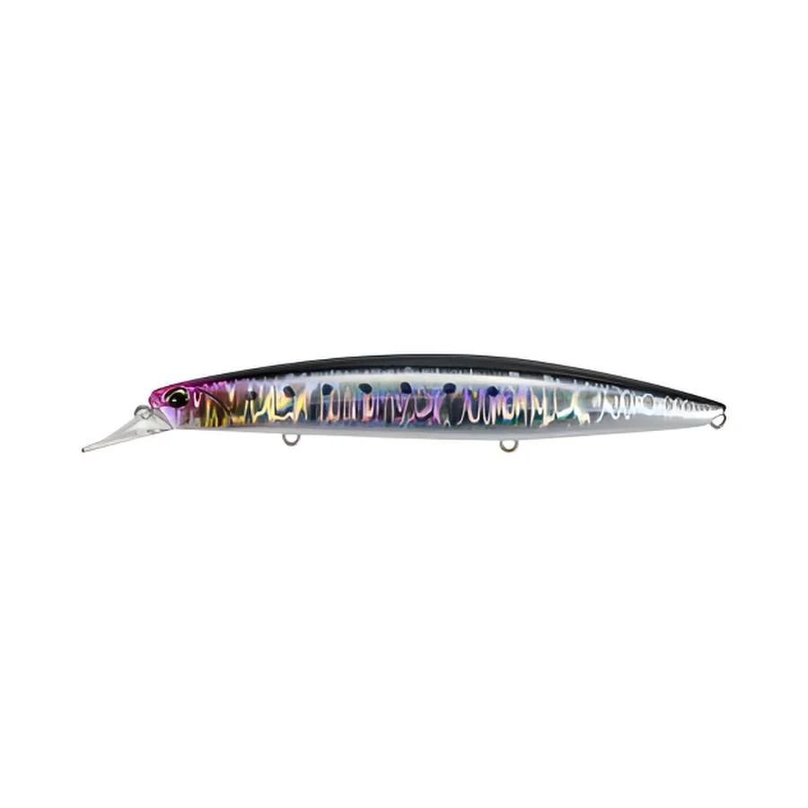 SPACE BACK SARDINE